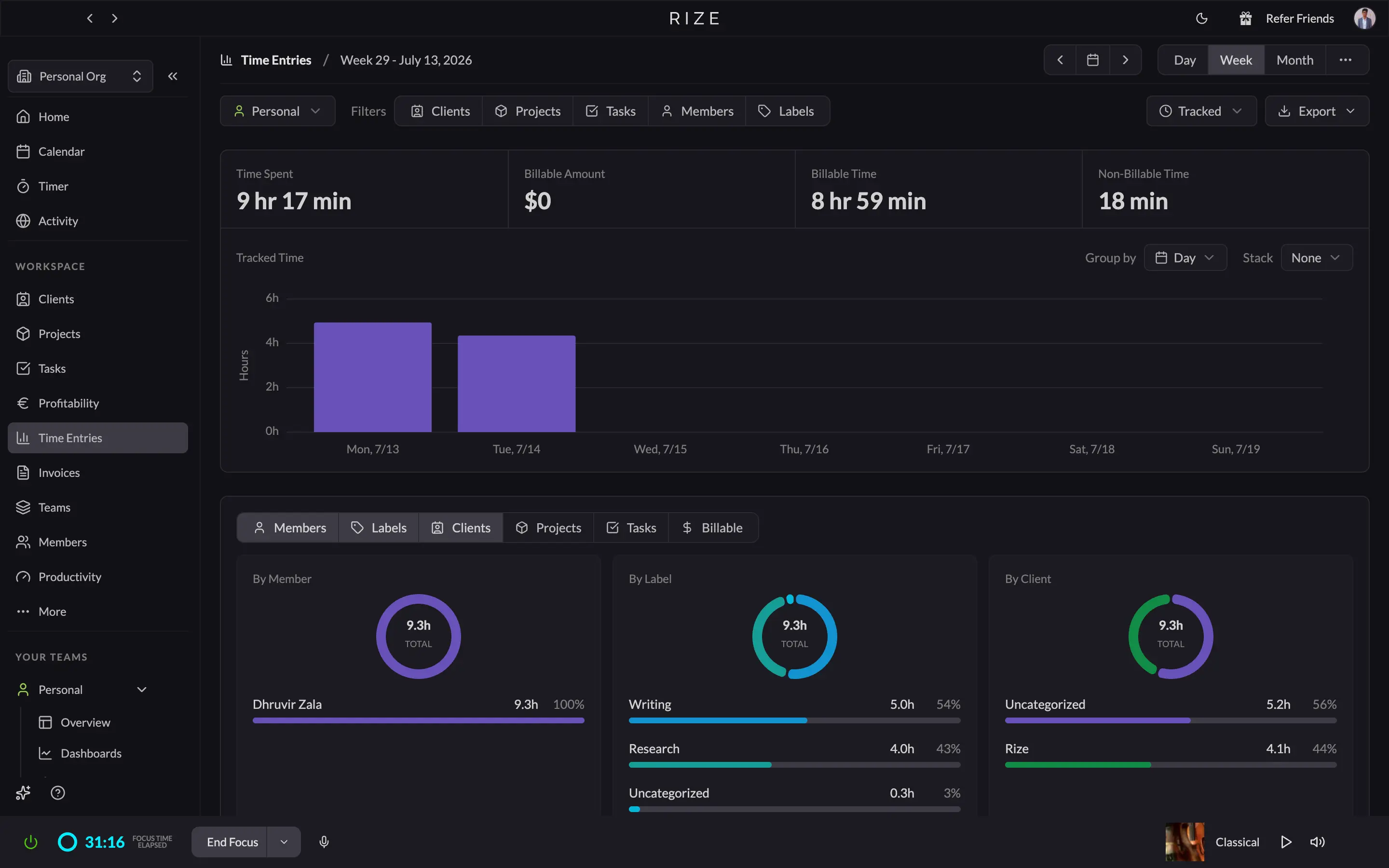 Rize's Time Entries page showing billable amounts and filters by client, project, and member